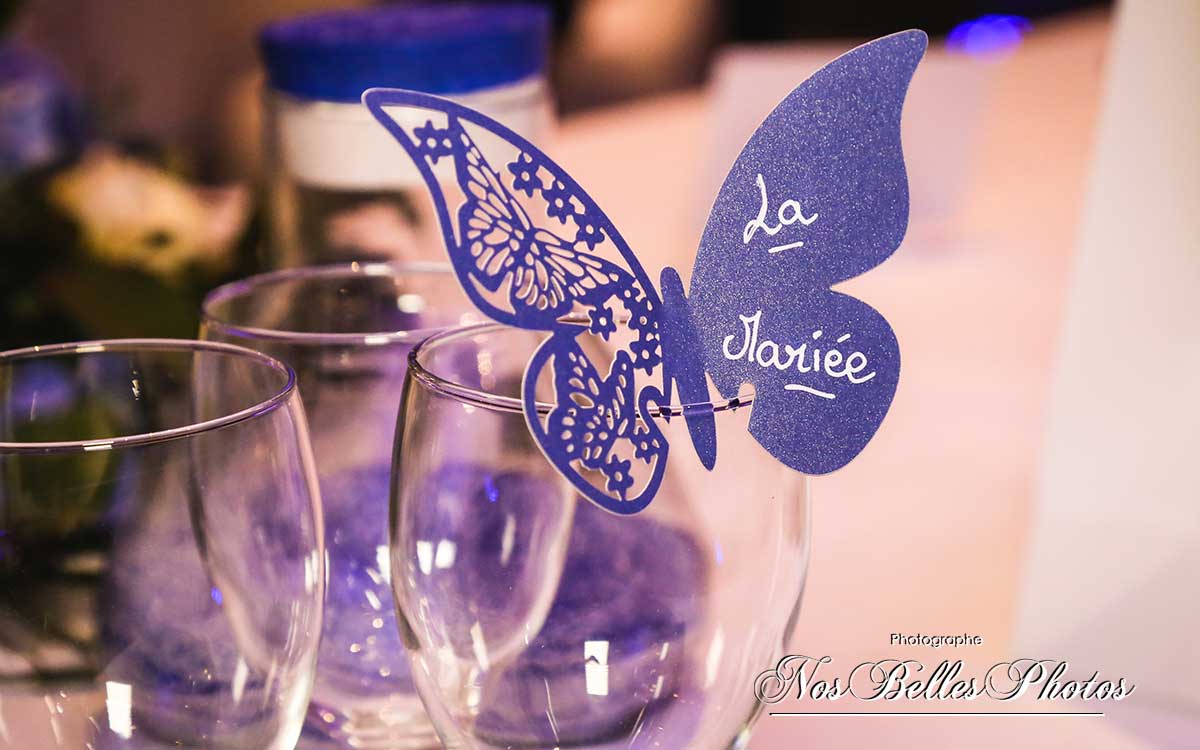 Photographe de mariage Mandelieu-la-Napoule, photo vidéo de mariage à Mandelieu-la-Napoule